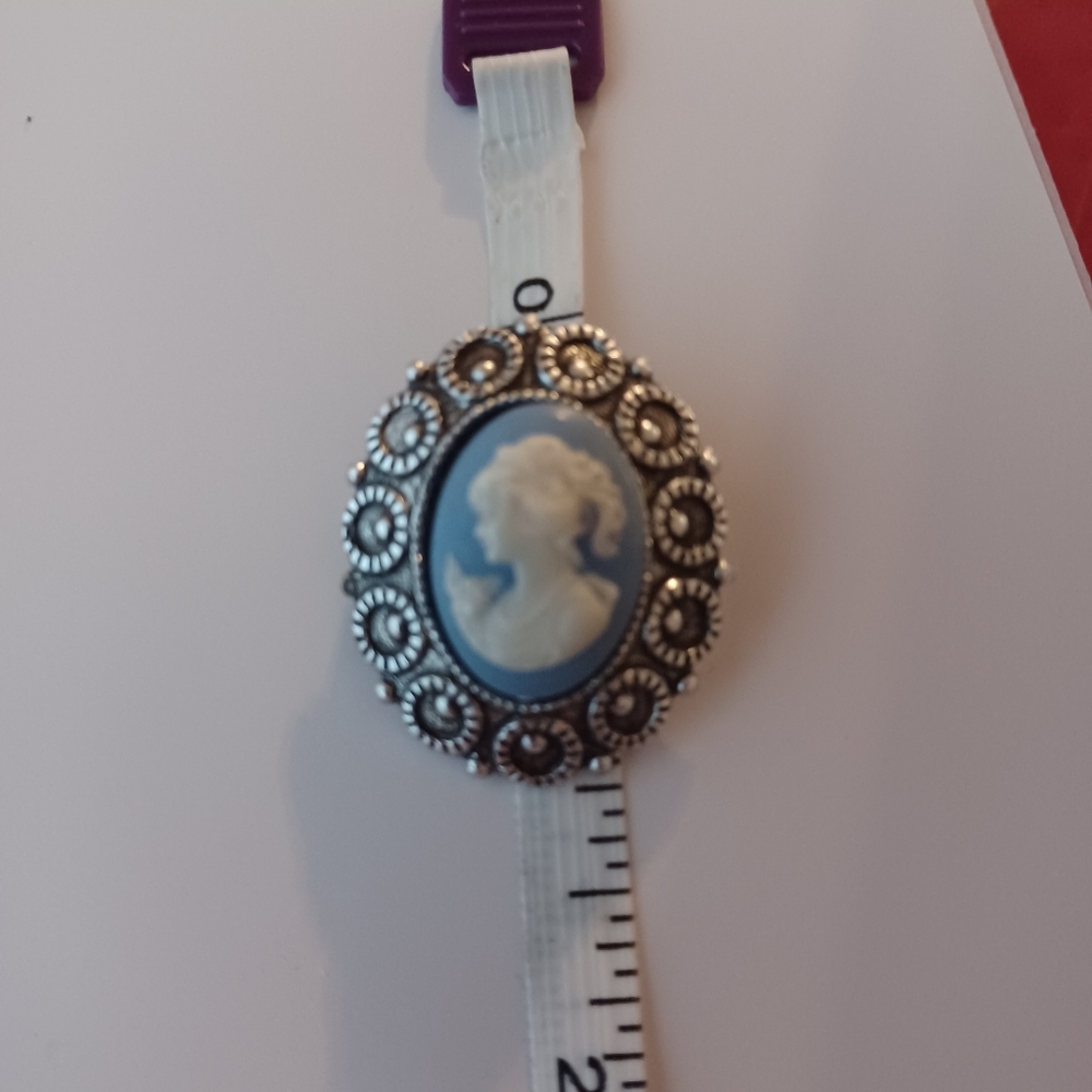 Cameo brooch silver tone and blue and white
